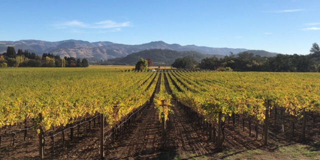 Napa Valley - Californie 2018